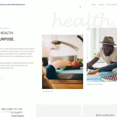 Website Designer for Healthcare